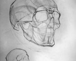 Премия «Конструктивный анализ». Рисунок черепа, 8 акад. часов<br/> Анна Наумова 16 лет. Преподаватель ДХШ Пантелят А.М.