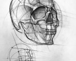 Премия «Конструктивный анализ». Рисунок черепа, бум., карандаш. 8 ак. часов<br/> Вероника Воронина 14 лет. Преподаватель Аксенова А.И.